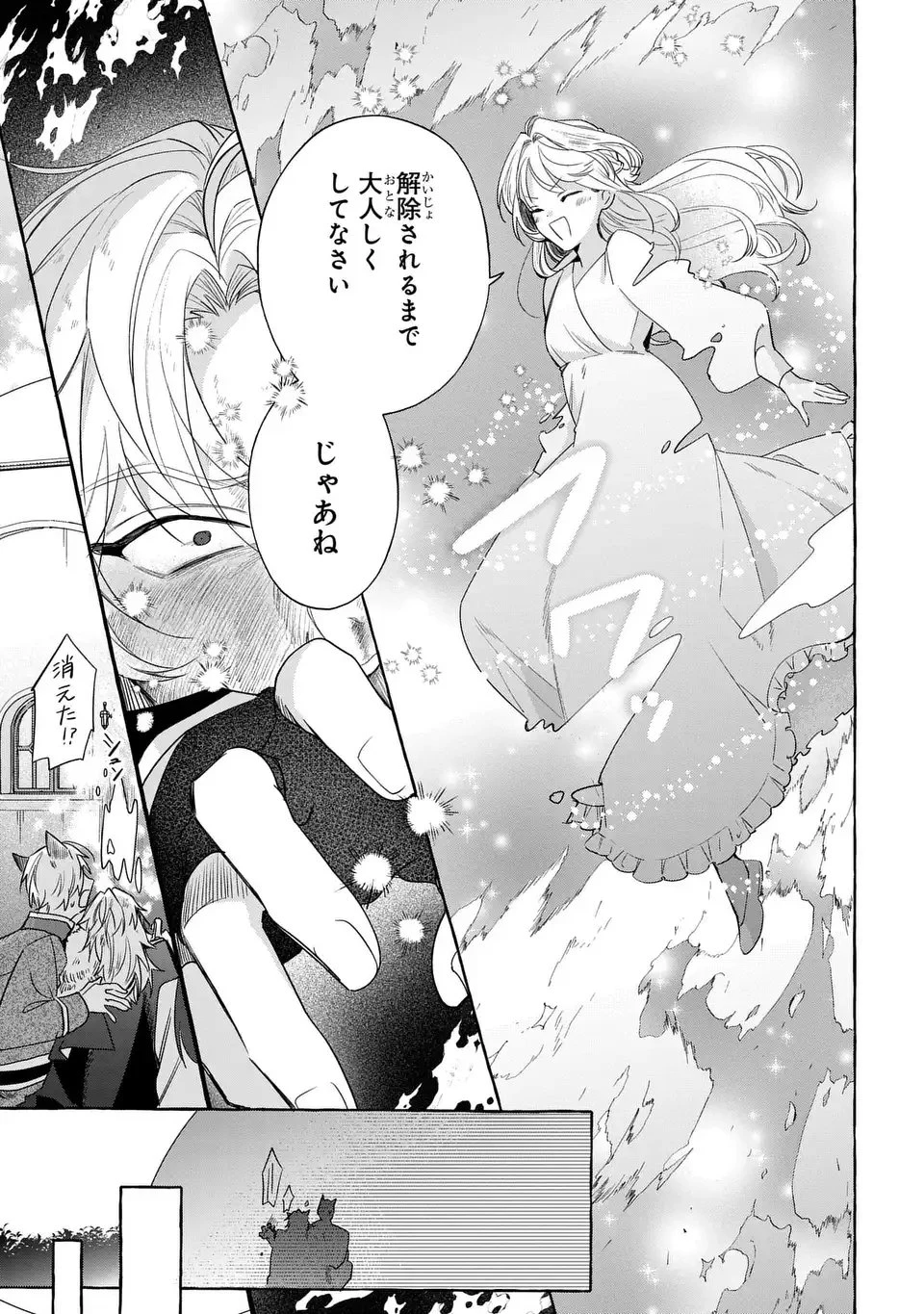 わたしの創った千年王国 天才魔導師の自由気ままな転生無双譚 第7話 - 15