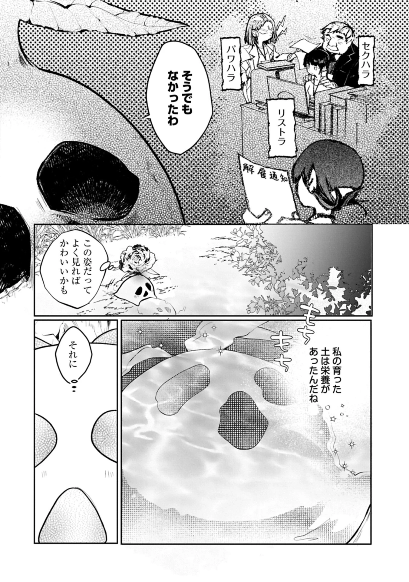 魔物(マンドラゴラ)ってバレたら討伐ですか? ～花の魔女のほほえみは勘違いの種を蒔く～ 第1話 - 16