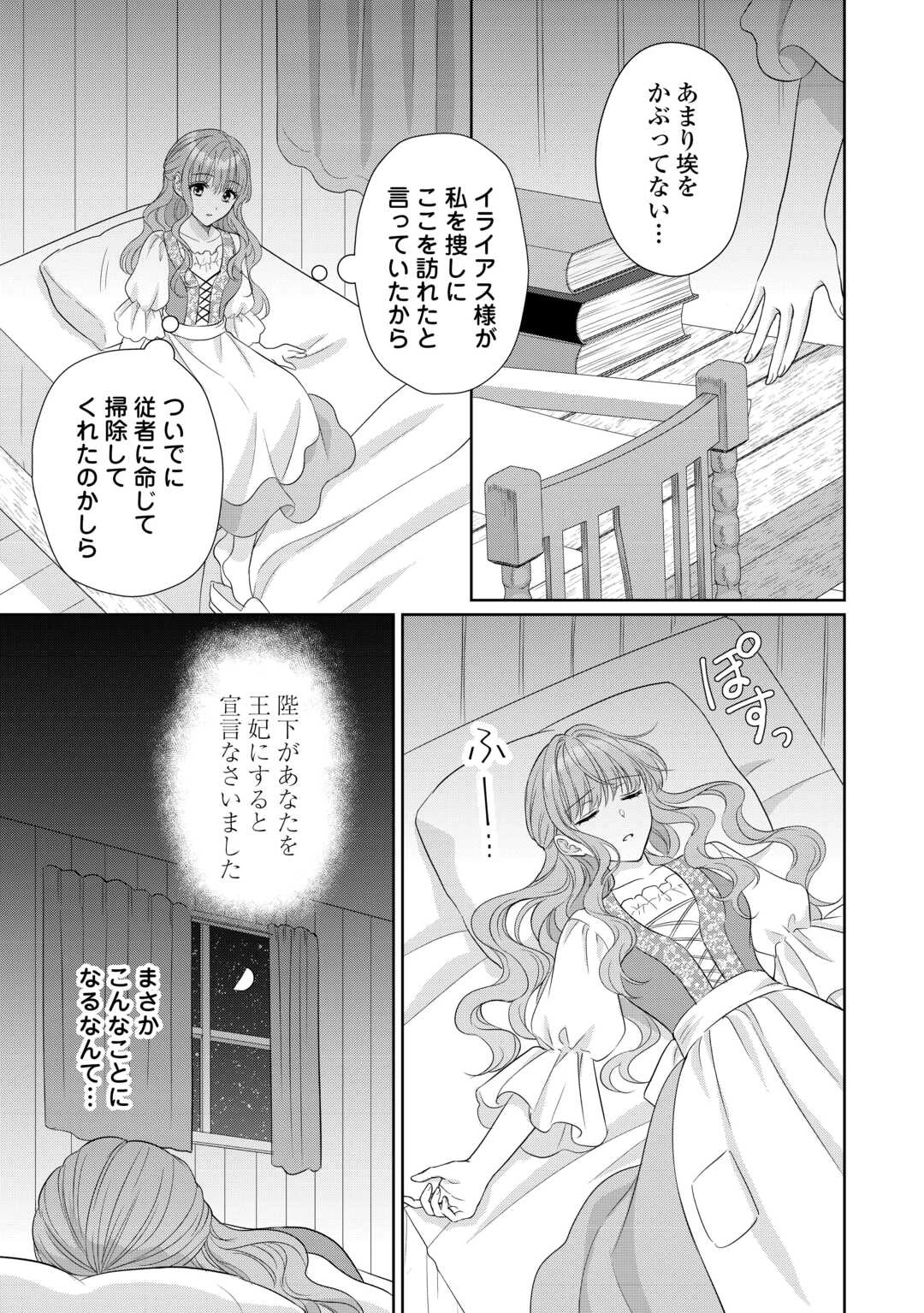 元仔狼の冷徹国王陛下に溺愛されて困っています! 第11話 - 17