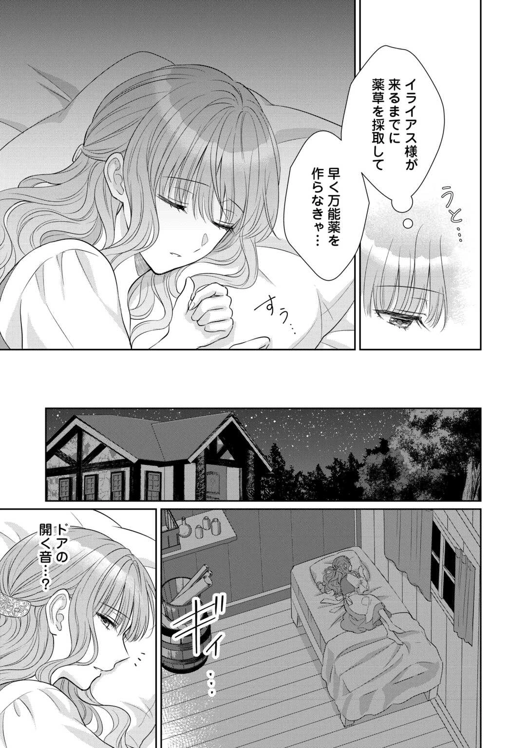 元仔狼の冷徹国王陛下に溺愛されて困っています! 第11話 - 19