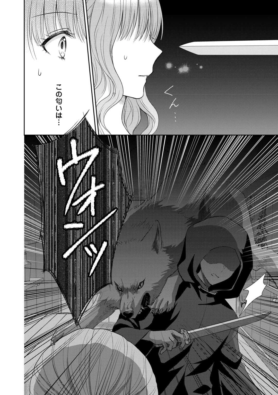 元仔狼の冷徹国王陛下に溺愛されて困っています! 第11話 - 22