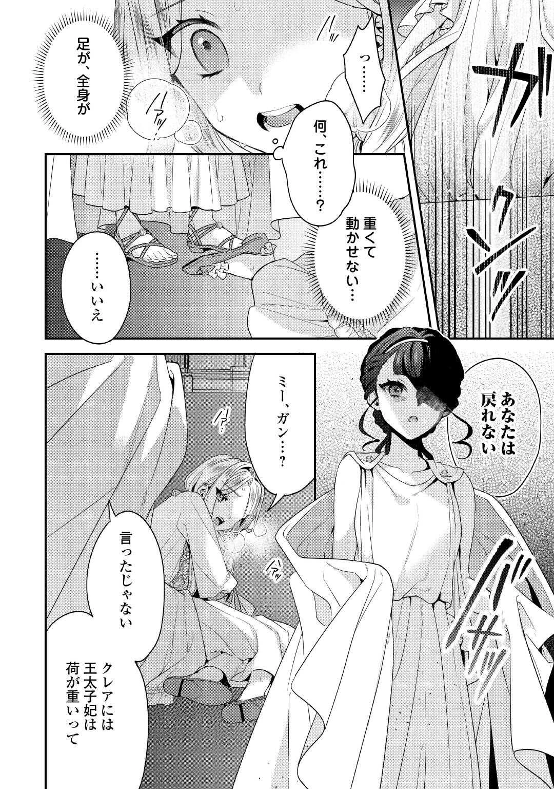 重婚なんてお断り! 絶対に双子の王子を見分けてみせます! 第13話 - 26