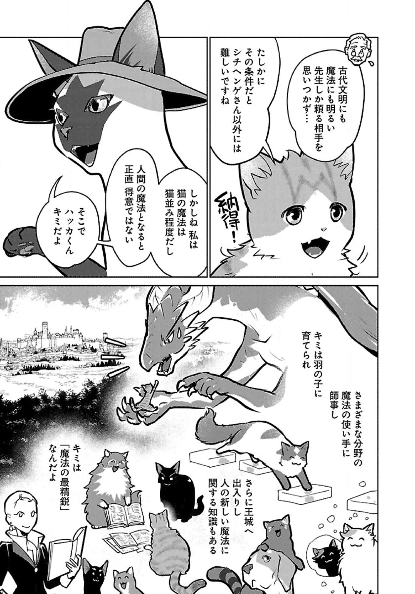 猫と竜 第56話 - 19