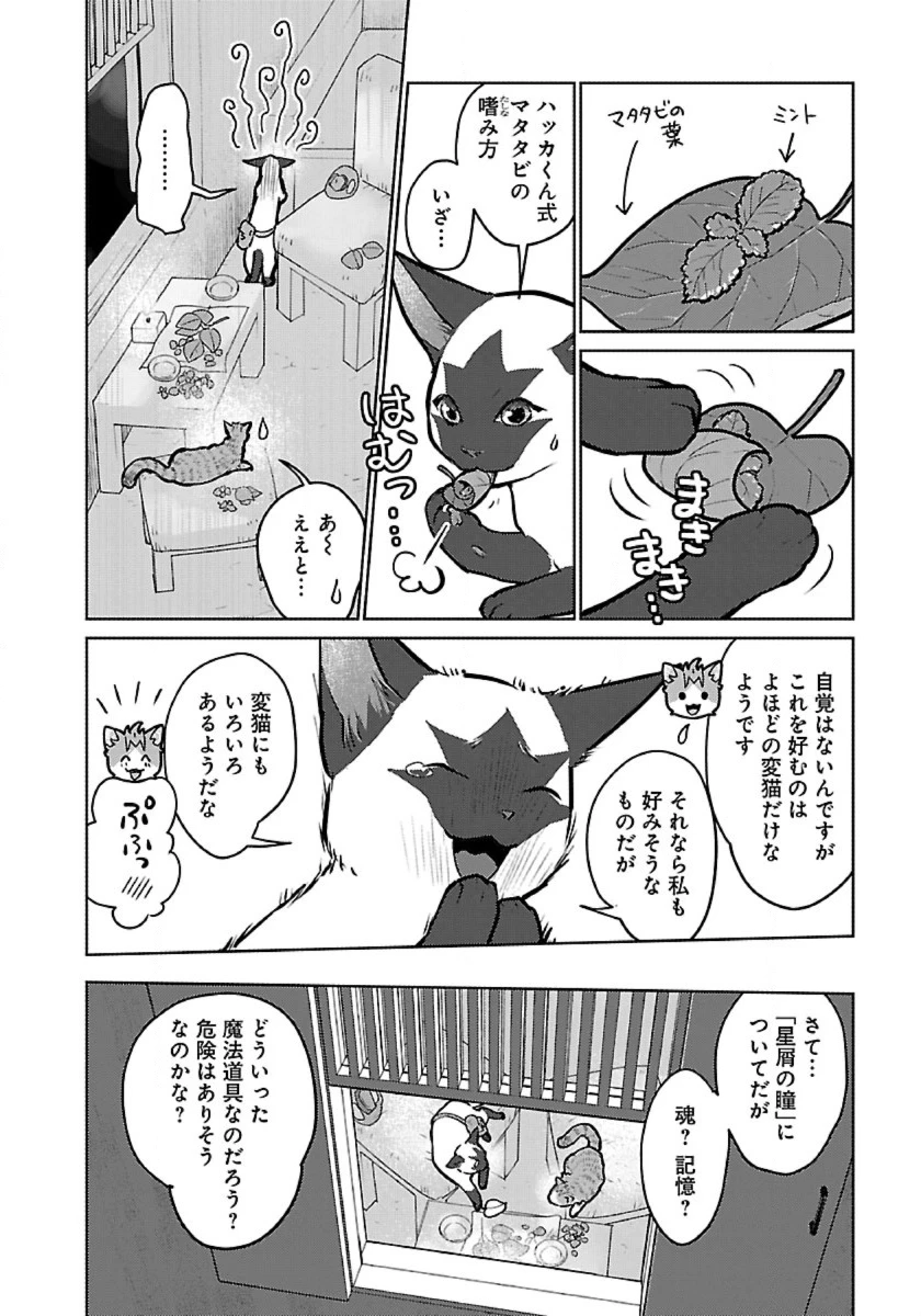 猫と竜 第56話 - 26