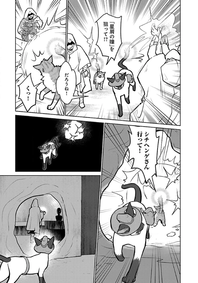 猫と竜 第56話 - 31