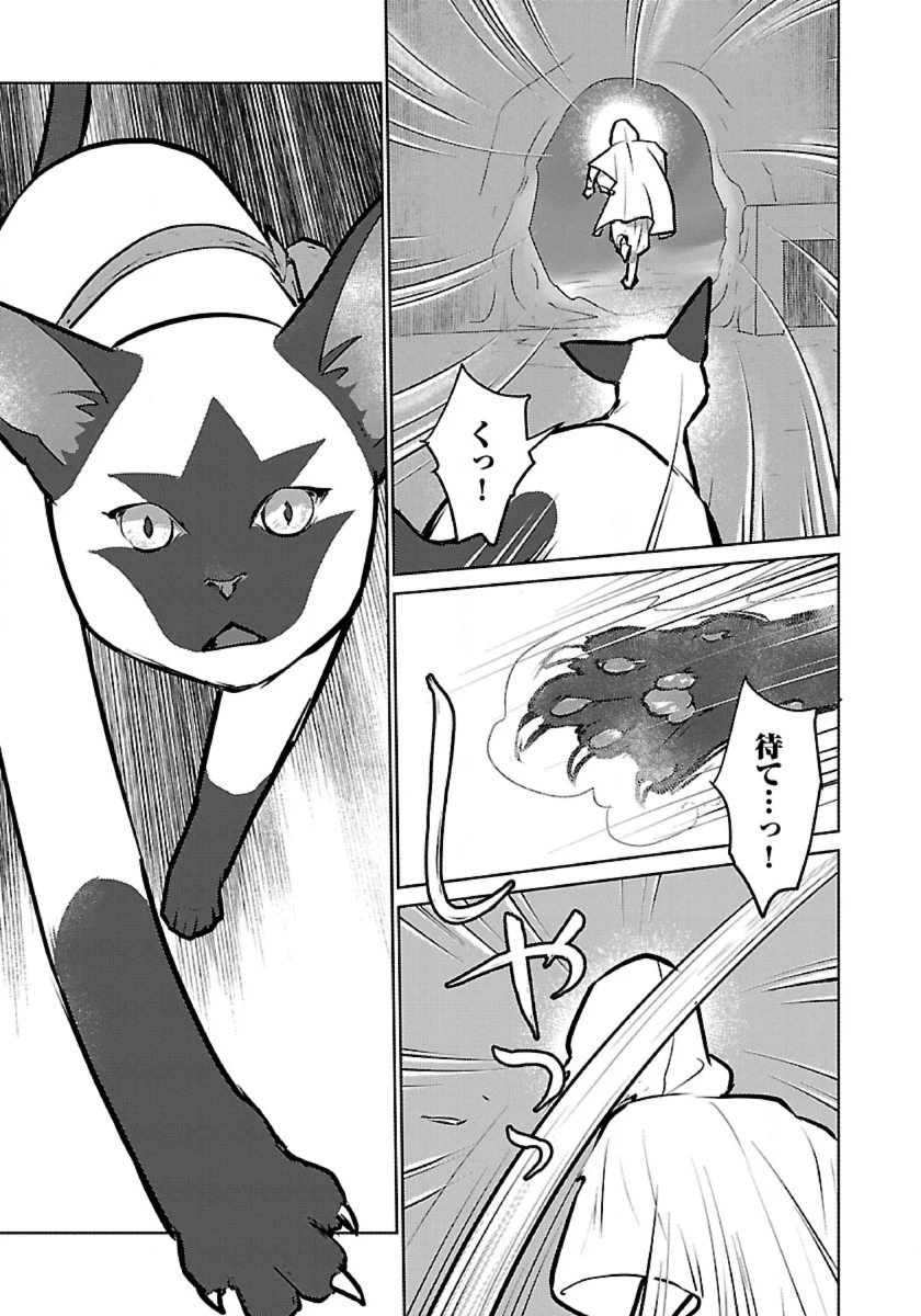 猫と竜 第56話 - 33