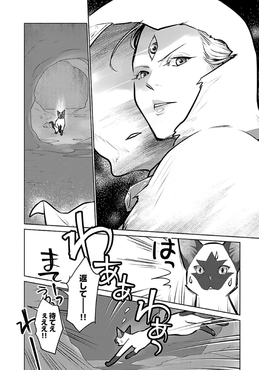 猫と竜 第56話 - 34