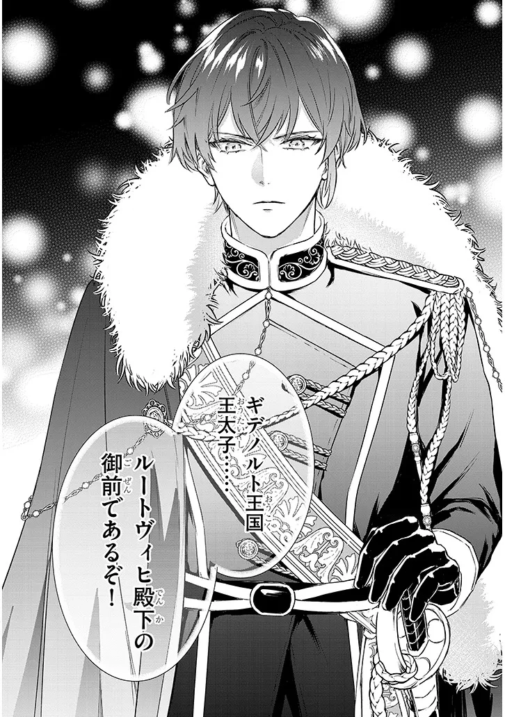 王太子の最愛姫 亡国の元王女は隣国で初めての恋を知る 第1話 - 13