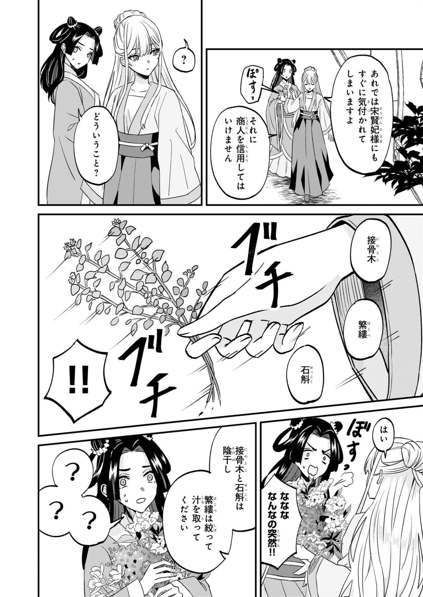 いずれ傾国悪女と呼ばれる宮女は、冷帝の愛し妃 第3話 - 20