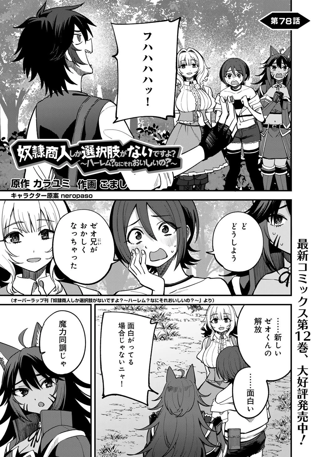 奴隷商人しか選択肢がないですよ?～ハーレム?なにそれおいしいの?～ 第78話 - 1