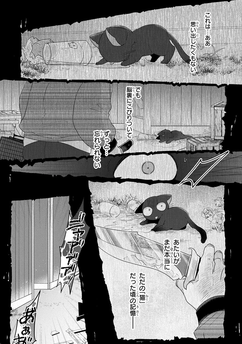 聖女が来るから「君を愛することはない」と言われたのでお飾り王妃に徹していたら、聖女が5歳だったので全力で愛します!! 第12話 - 7