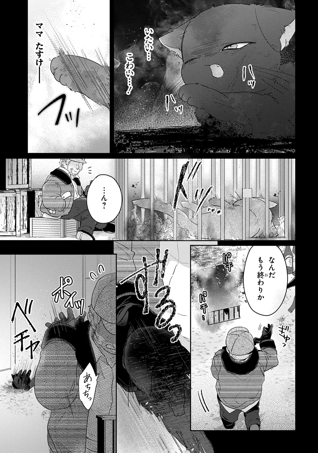 聖女が来るから「君を愛することはない」と言われたのでお飾り王妃に徹していたら、聖女が5歳だったので全力で愛します!! 第12話 - 9