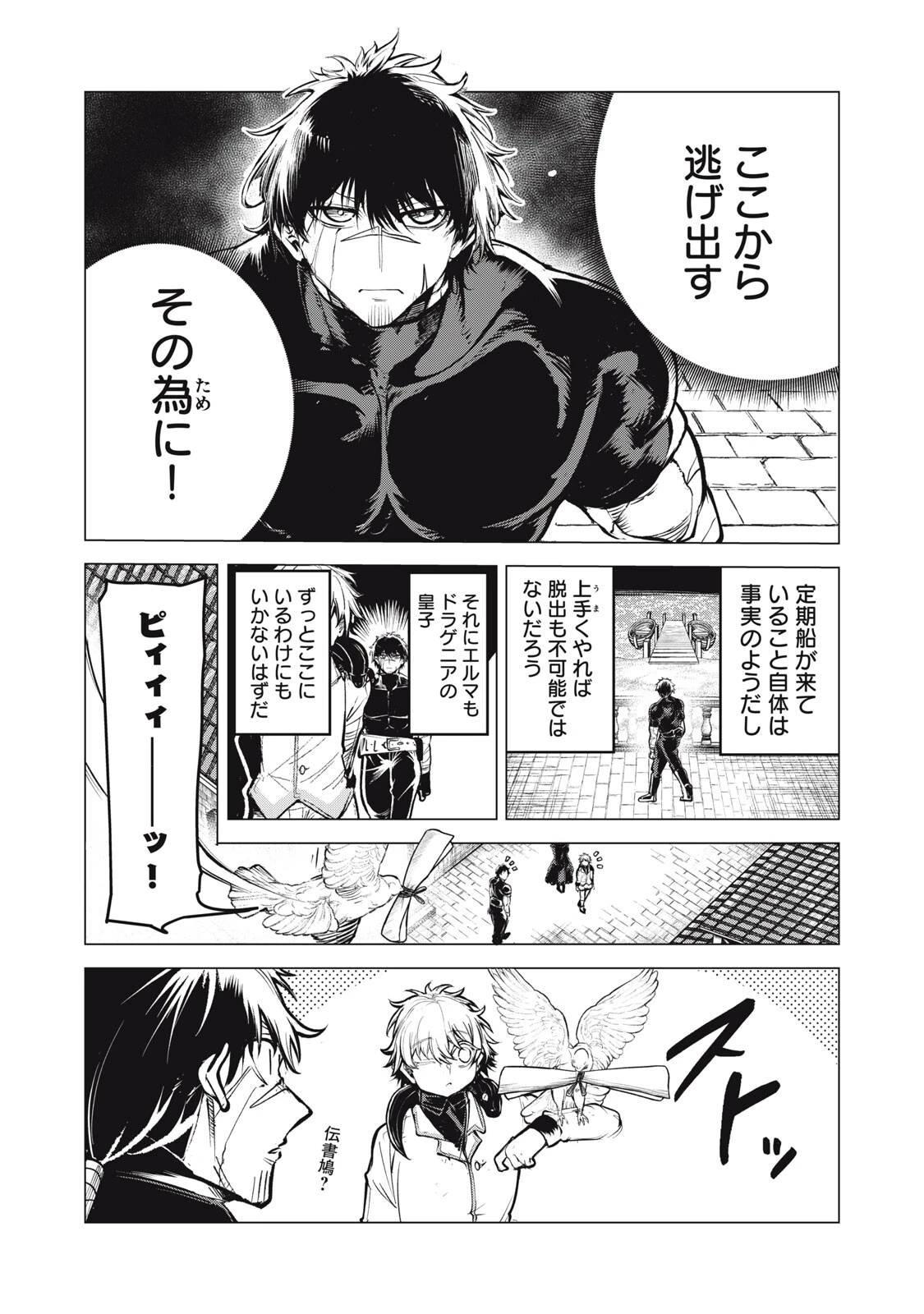 国を追われた竜師さん、拾われた隣国でうっかり無双してしまう。〜弱小国家が大陸最強の竜の楽園になるまで〜 第40話 - 5