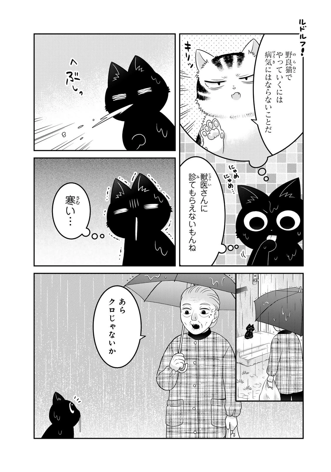 ルドルフとイッパイアッテナ 第5話 - 7