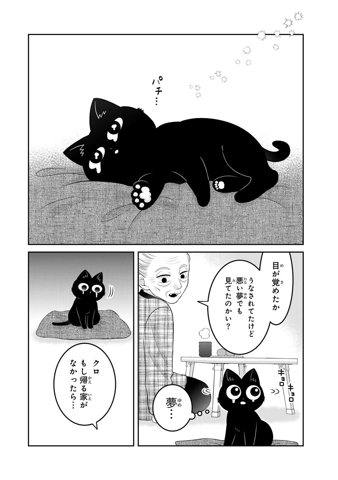 ルドルフとイッパイアッテナ 第5話 - 12