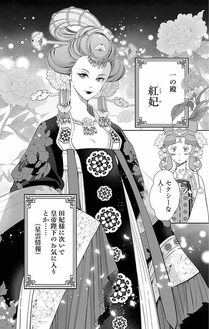 後宮の影公主～呪術師は謎を読む～ 第12話 - 10