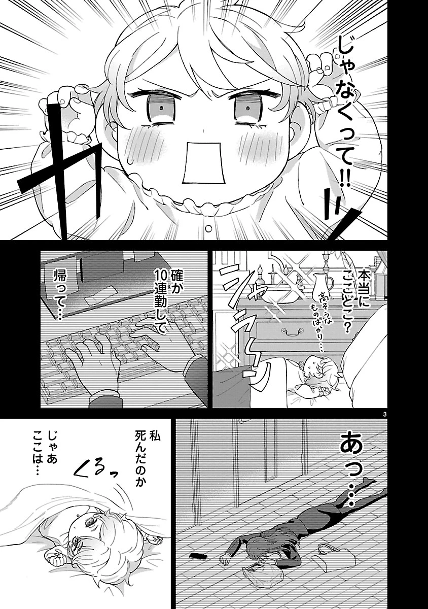 皇帝の隠し子の令嬢は暴れん坊公爵令息の手綱を握る。 第2話 - 3