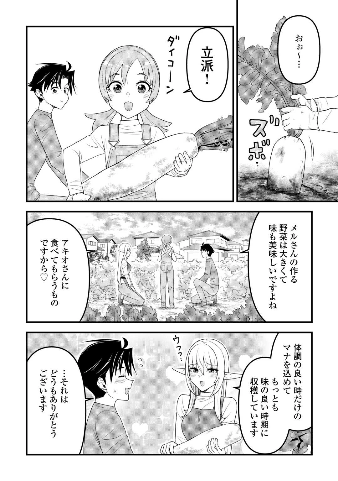 異世界からエルフさんが落ちてきたのですが!? 第23話 - 10