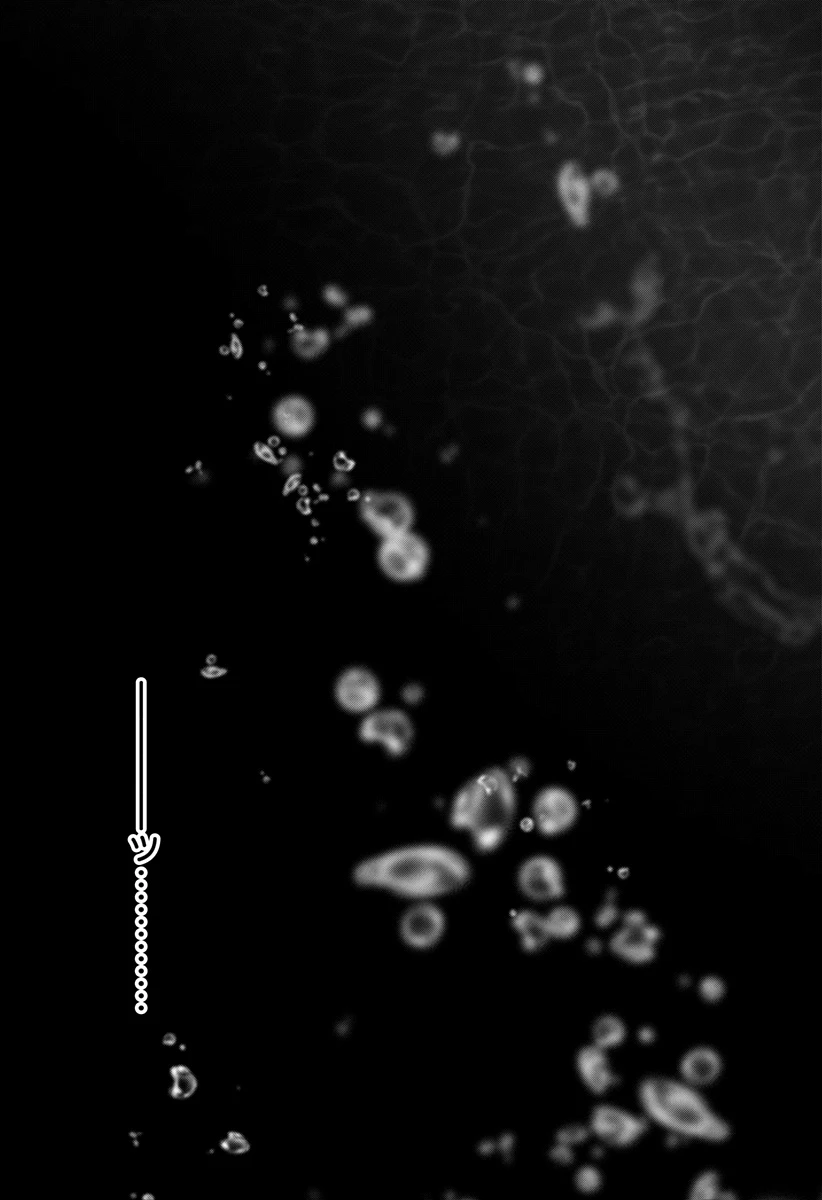 愛と人魚姫 第16話 - 22