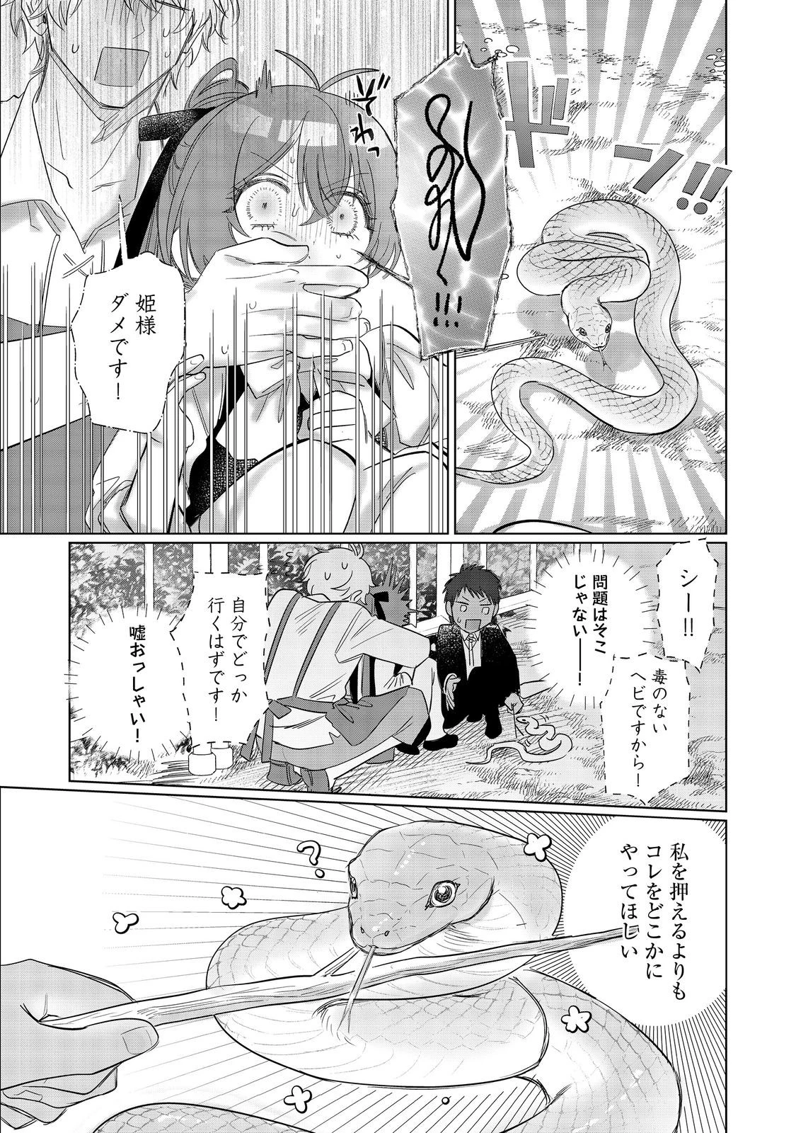 ポンコツ王太子のモブ姉王女らしいけど、悪役令嬢が可哀想なので助けようと思います～王女ルートがない！？なら作ればいいのよ！～@COMIC 第24話 - 16