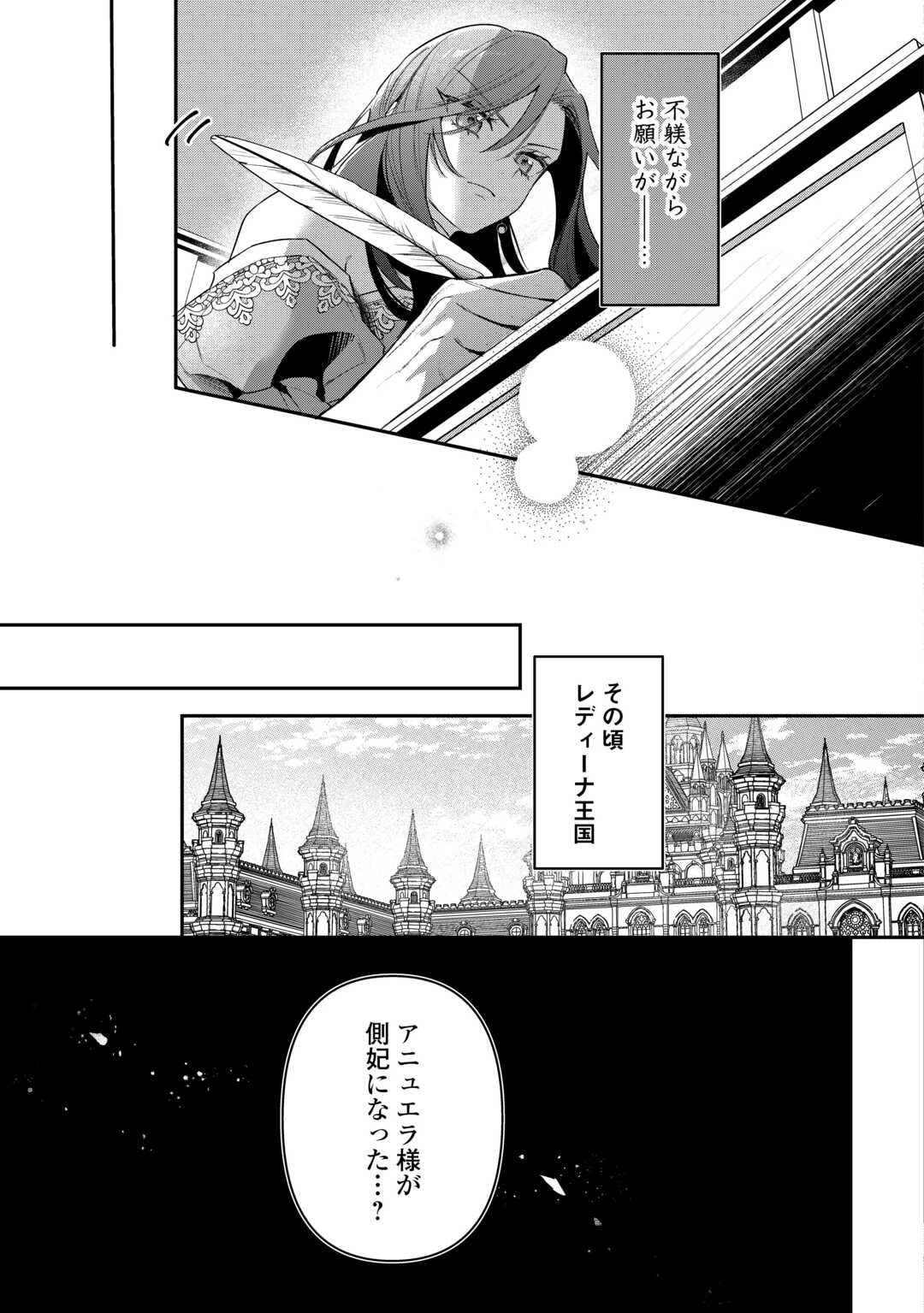 側妃のお仕事は終了です。 第5話 - 31