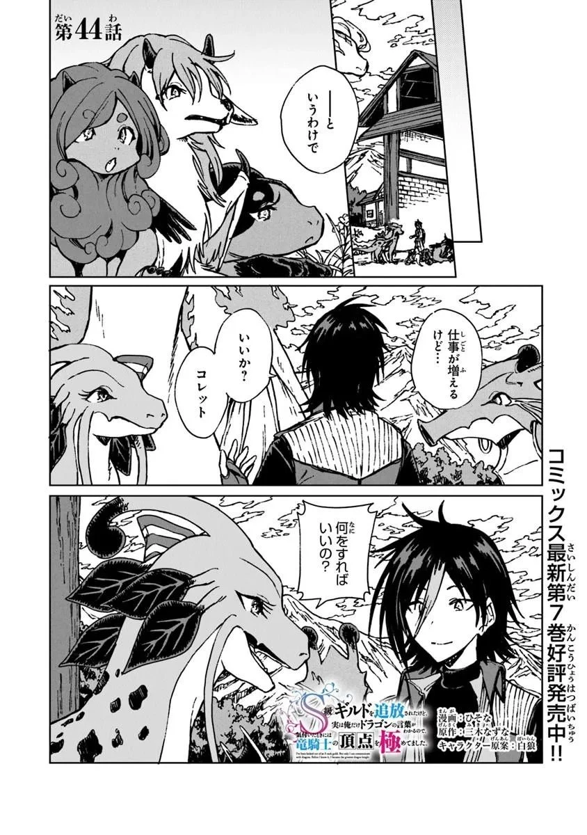 S級ギルドを追放されたけど、実は俺だけドラゴンの言葉がわかるので、気付いたときには竜騎士の頂点を極めてました。 第44話 - 1