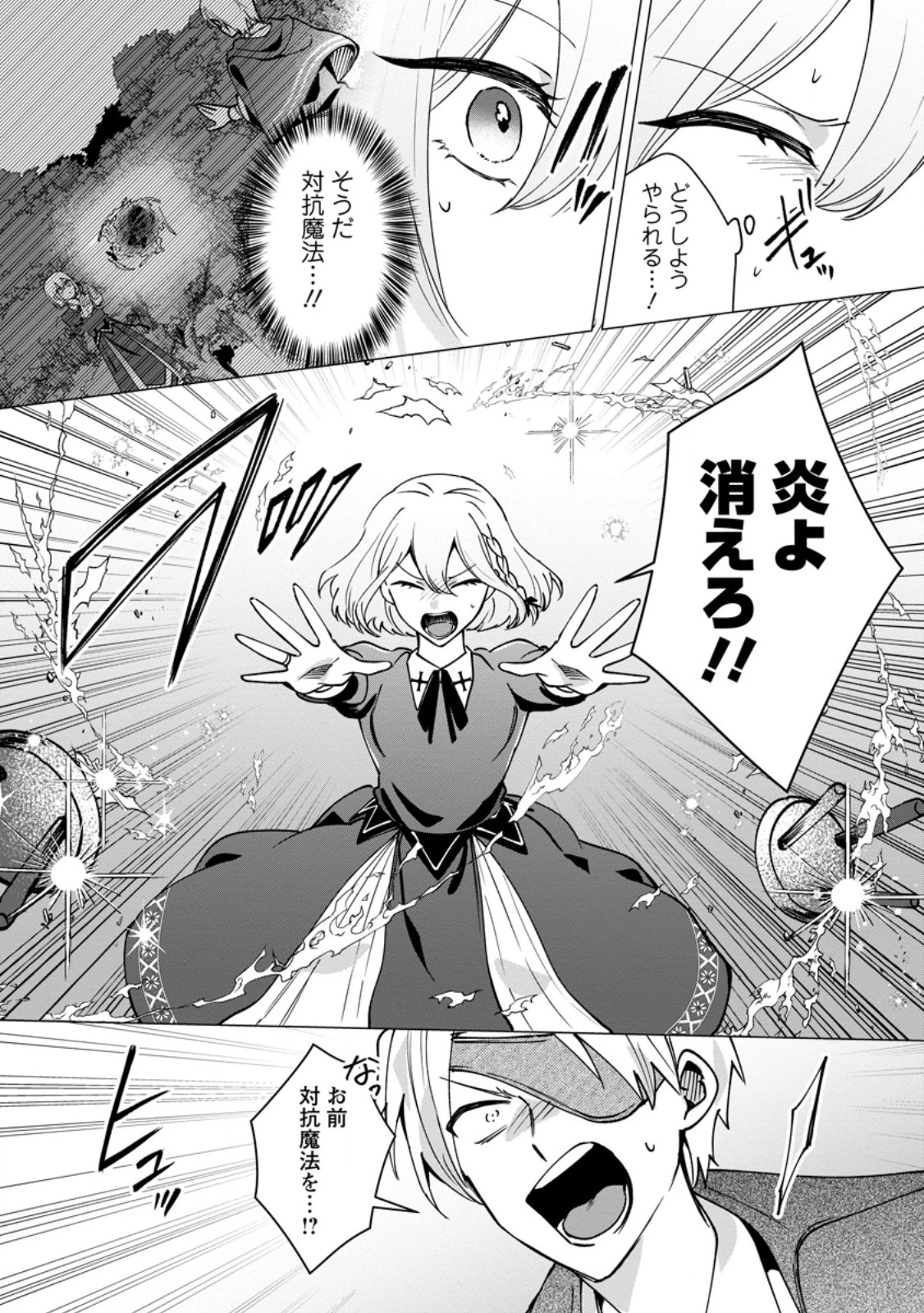 捨てられ聖女のもふもふ保護活動〜天才魔法使いと幻獣たちに愛されて幸せになります〜 第10話 - 9