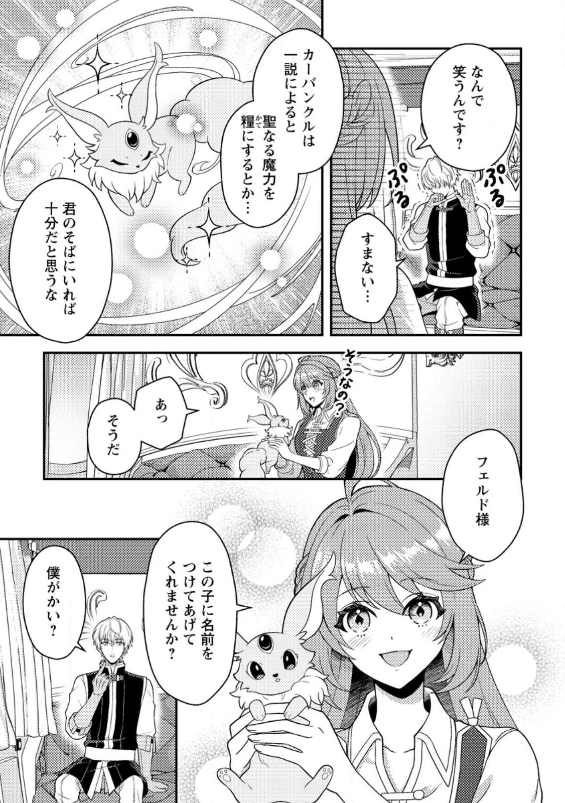 宝石の聖女―「欲深女め!」と追放されたけど、隣国の王子様と幸せに暮らすのであとはもうご勝手に!― 第2話 - 5