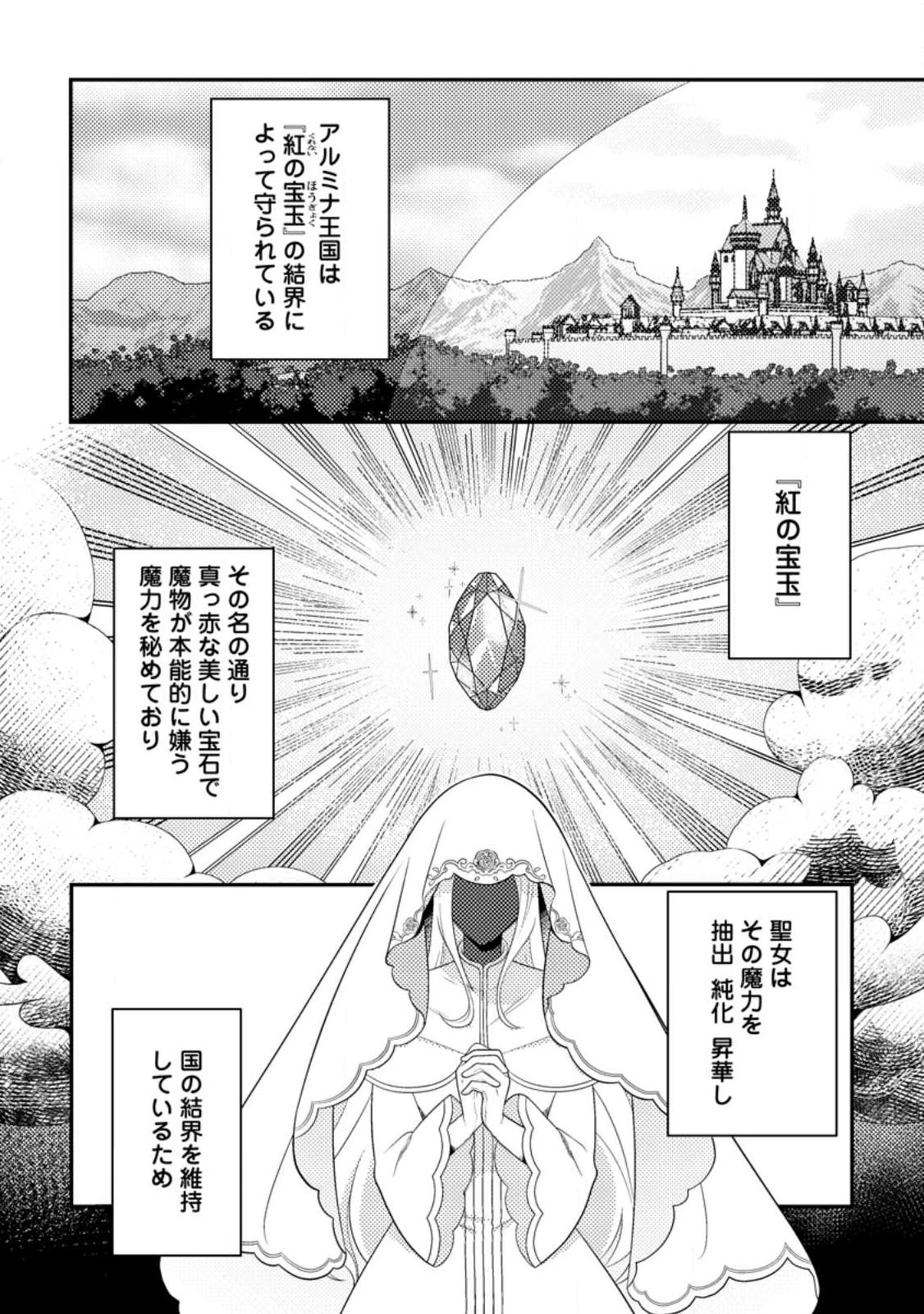 宝石の聖女―「欲深女め!」と追放されたけど、隣国の王子様と幸せに暮らすのであとはもうご勝手に!― 第1話 - 4