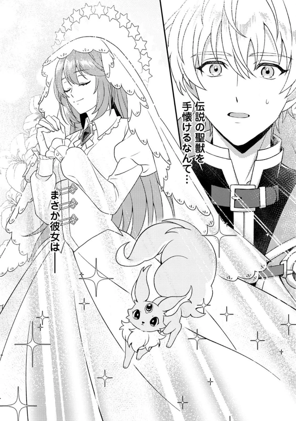 宝石の聖女―「欲深女め!」と追放されたけど、隣国の王子様と幸せに暮らすのであとはもうご勝手に!― 第1話 - 30