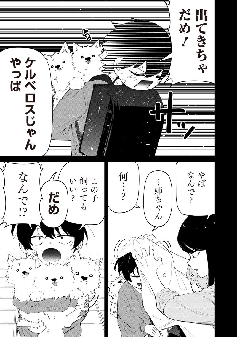 しれっとすげぇこと言ってるギャル。ー私立パラの丸高校の日常ー 第49話 - 5