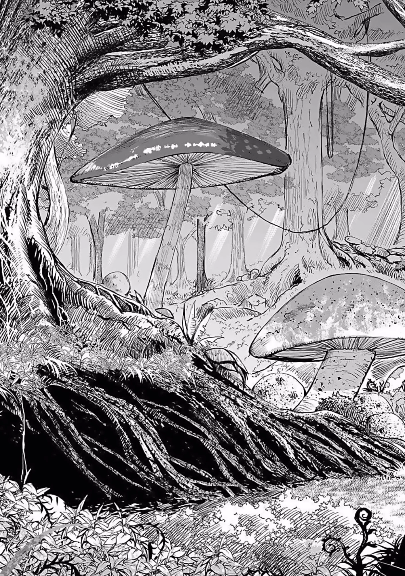 (毒殺された)世界無双の毒魔法使い 第9話 - 13