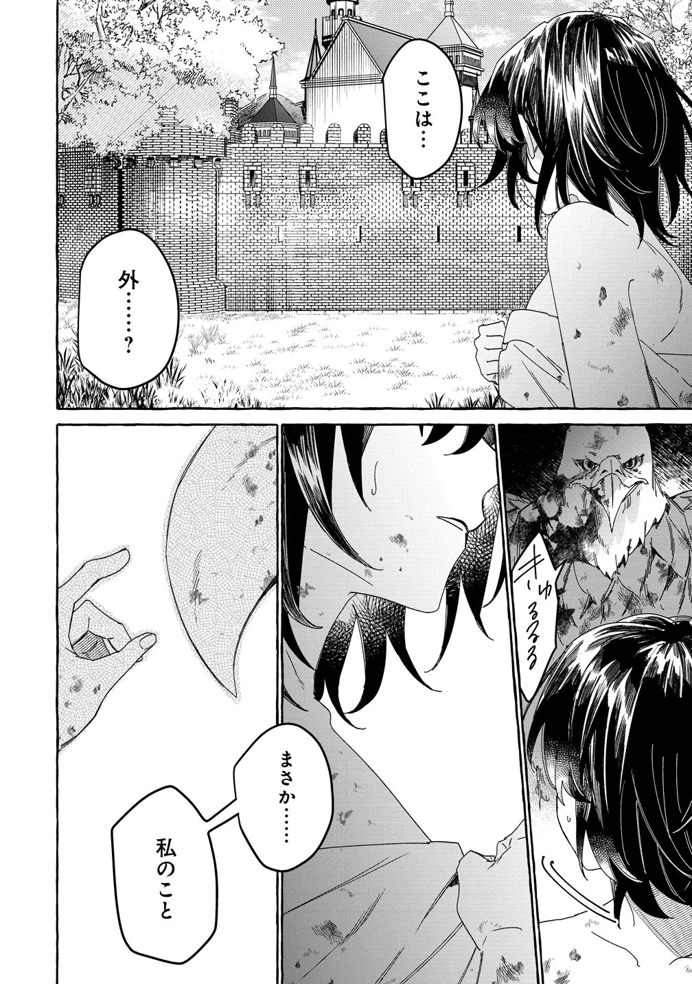 生き餌によるモフモフ猛禽飼育記 異世界トリップしたら、姫巫女召喚のおまけでした 第1話 - 32