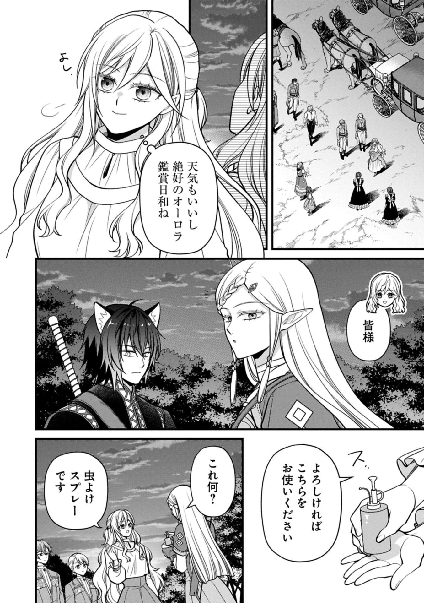 婚約解消のち、お引越し。セイラン・リゼルの気ままで優雅な生活。～才色兼備の転生令嬢は前世チートで自由を満喫します～ 第9話 - 14