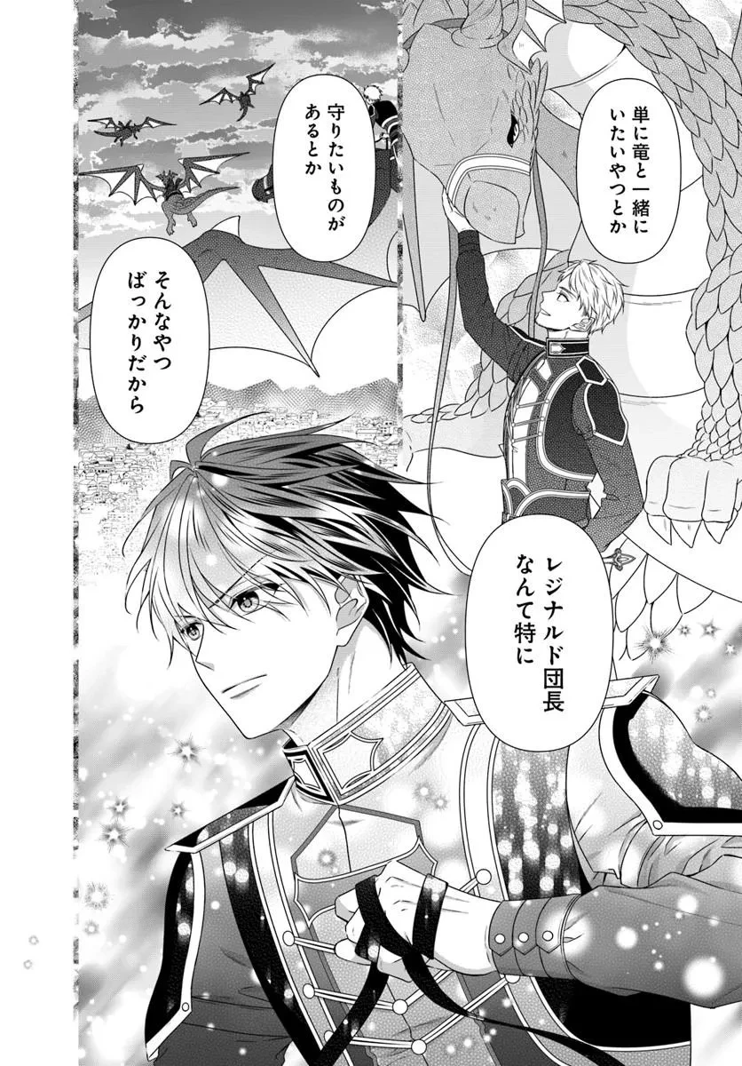 王女でしたがこっそり竜騎士団の専属薬師になりました! 第7話 - 14