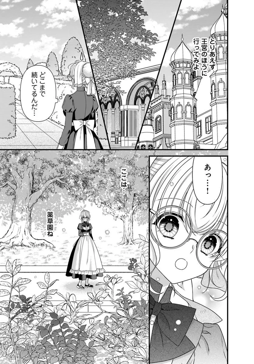 王女でしたがこっそり竜騎士団の専属薬師になりました! 第5話 - 7