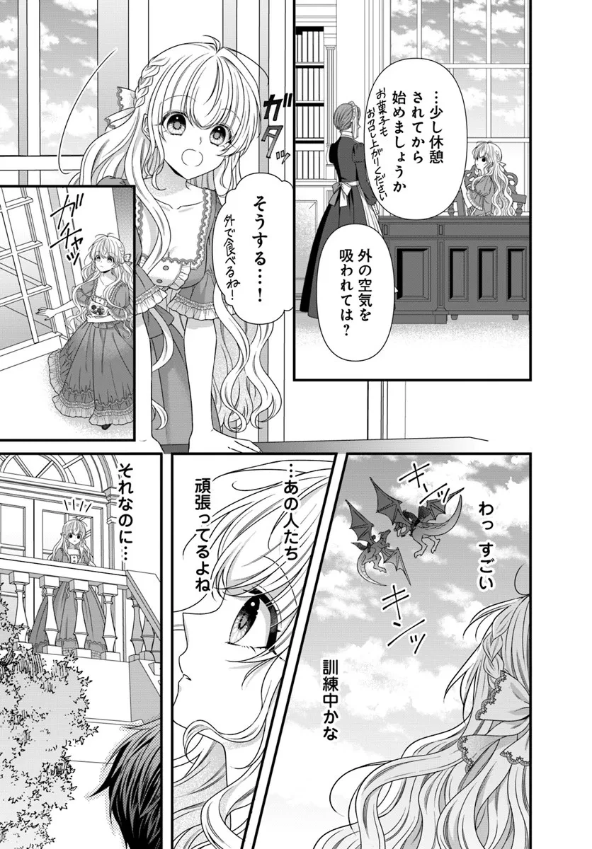 王女でしたがこっそり竜騎士団の専属薬師になりました! 第3話 - 17