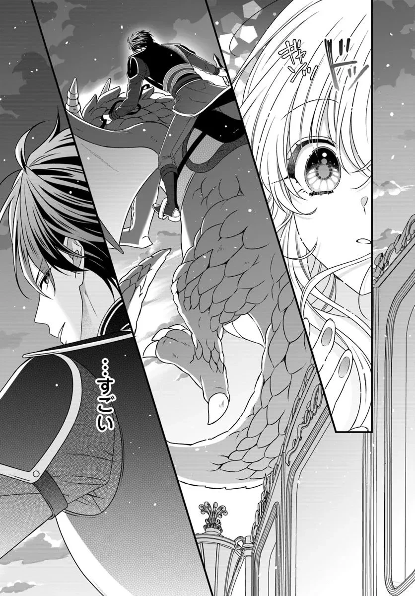 王女でしたがこっそり竜騎士団の専属薬師になりました! 第1話 - 27