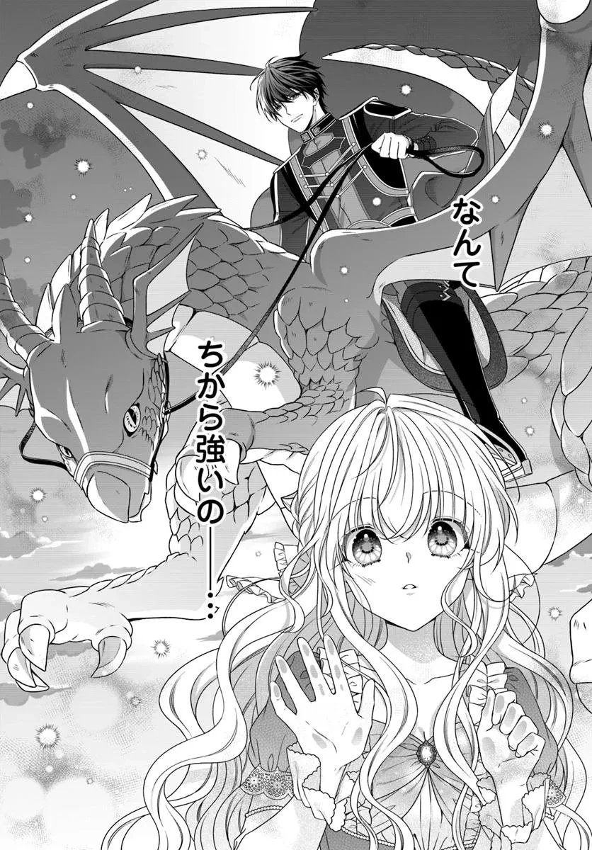 王女でしたがこっそり竜騎士団の専属薬師になりました! 第1話 - 28