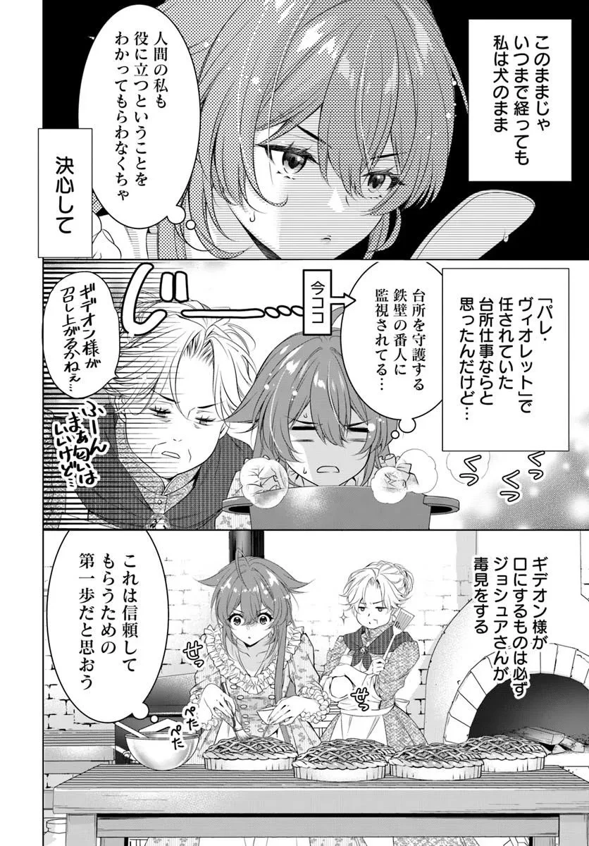 国王陛下、私を飼ってください! ～妹の身代わりで貢ぎ物にされましたが、愛され犬を目指します～ 第8話 - 4