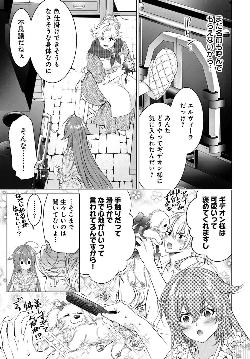 国王陛下、私を飼ってください! ～妹の身代わりで貢ぎ物にされましたが、愛され犬を目指します～ 第8話 - 5