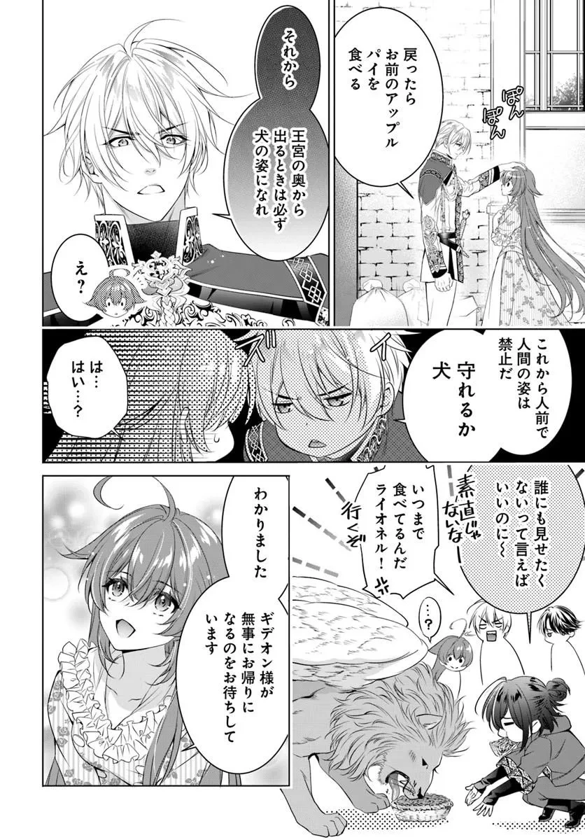 国王陛下、私を飼ってください! ～妹の身代わりで貢ぎ物にされましたが、愛され犬を目指します～ 第8話 - 14