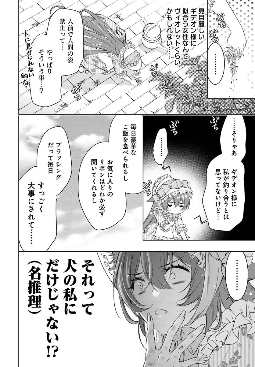 国王陛下、私を飼ってください! ～妹の身代わりで貢ぎ物にされましたが、愛され犬を目指します～ 第8話 - 16