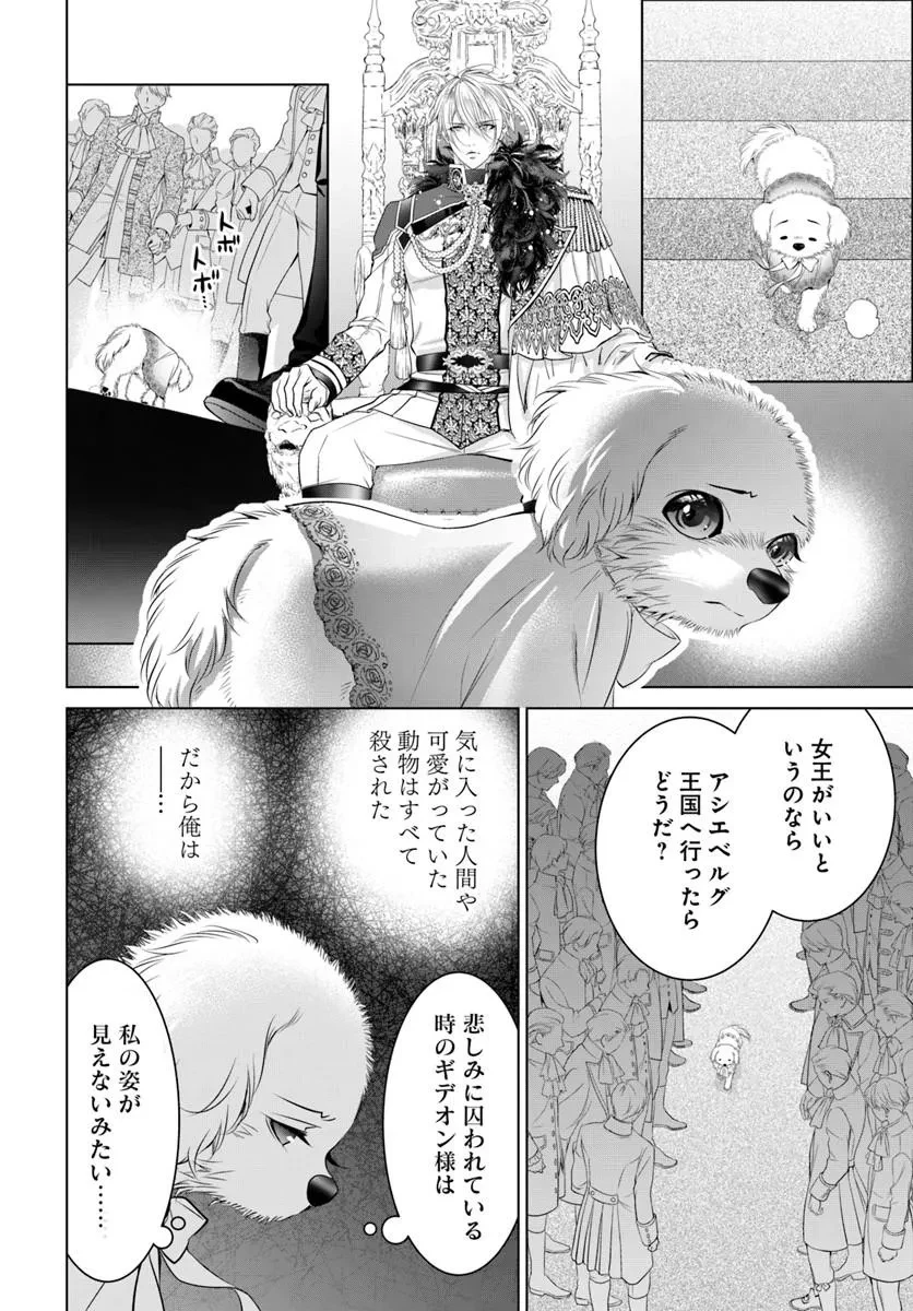 国王陛下、私を飼ってください! ～妹の身代わりで貢ぎ物にされましたが、愛され犬を目指します～ 第7話 - 12