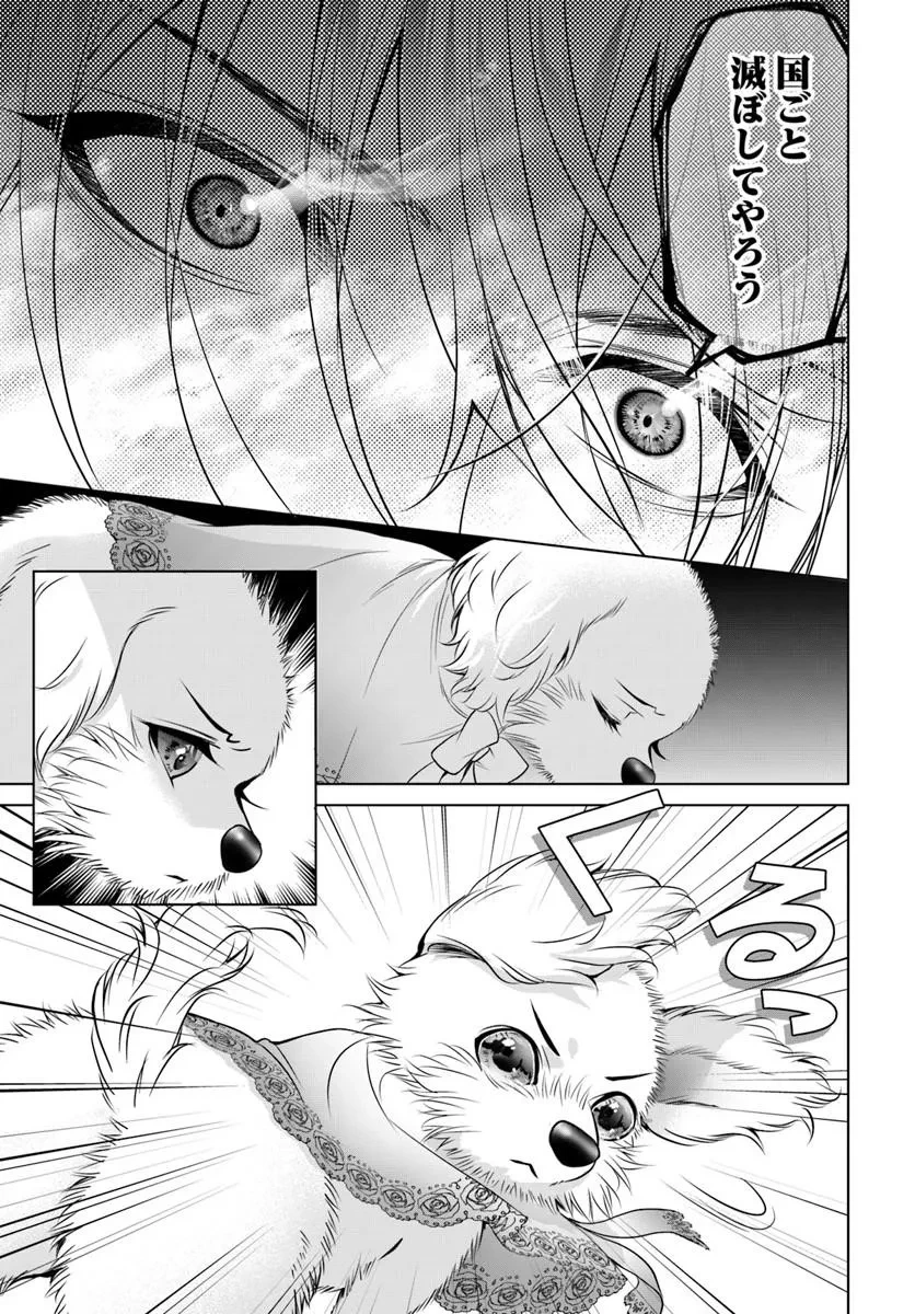 国王陛下、私を飼ってください! ～妹の身代わりで貢ぎ物にされましたが、愛され犬を目指します～ 第7話 - 13