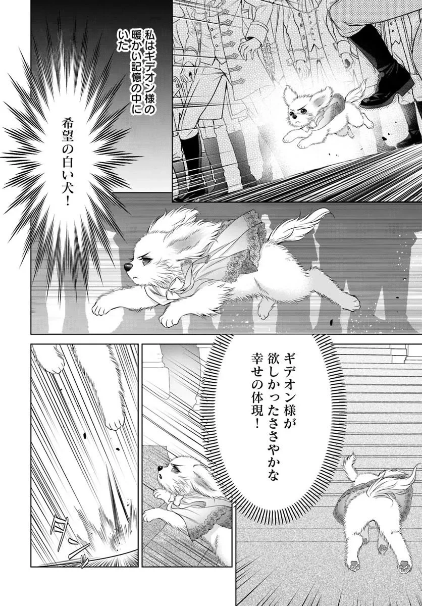 国王陛下、私を飼ってください! ～妹の身代わりで貢ぎ物にされましたが、愛され犬を目指します～ 第7話 - 14