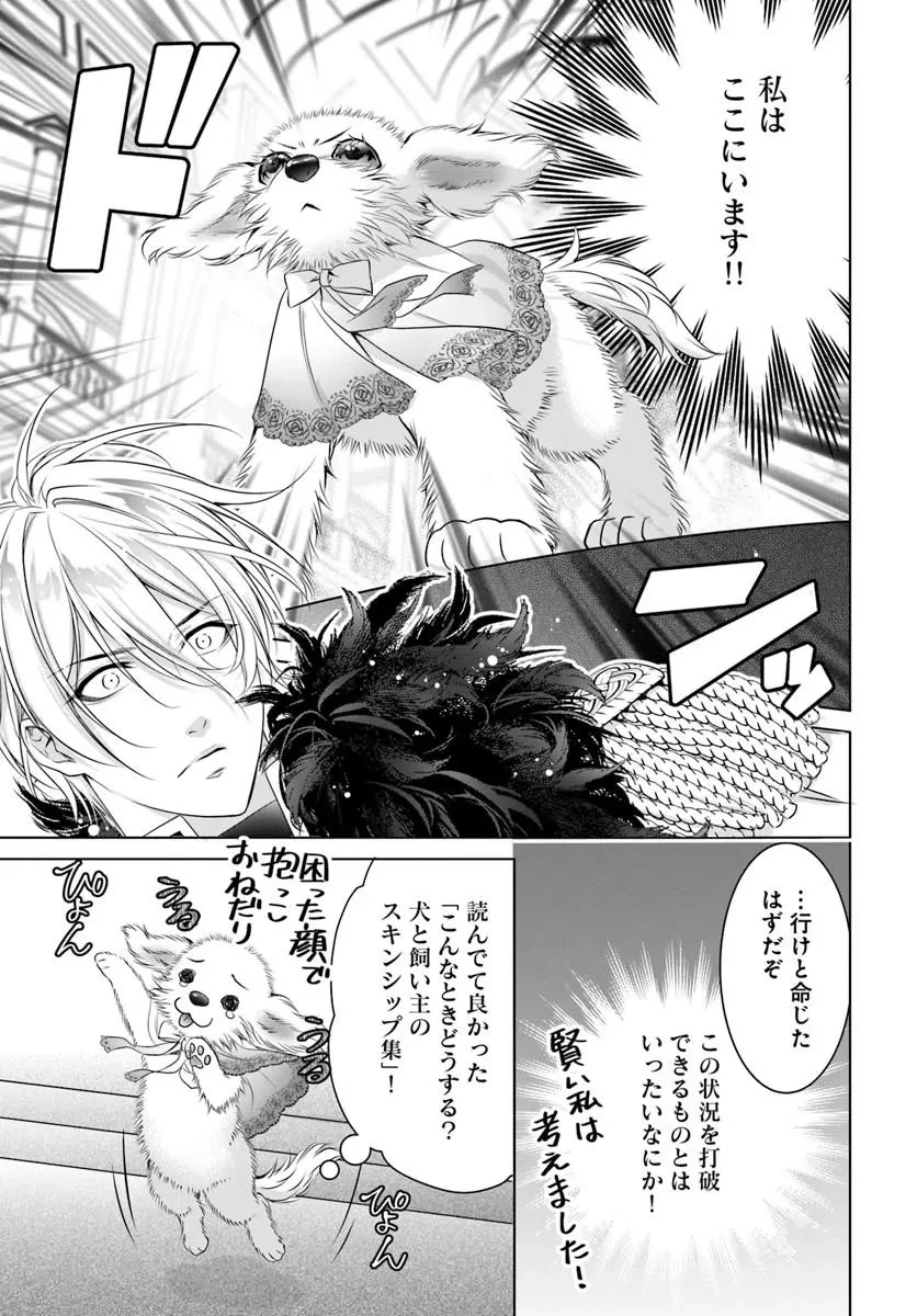 国王陛下、私を飼ってください! ～妹の身代わりで貢ぎ物にされましたが、愛され犬を目指します～ 第7話 - 15
