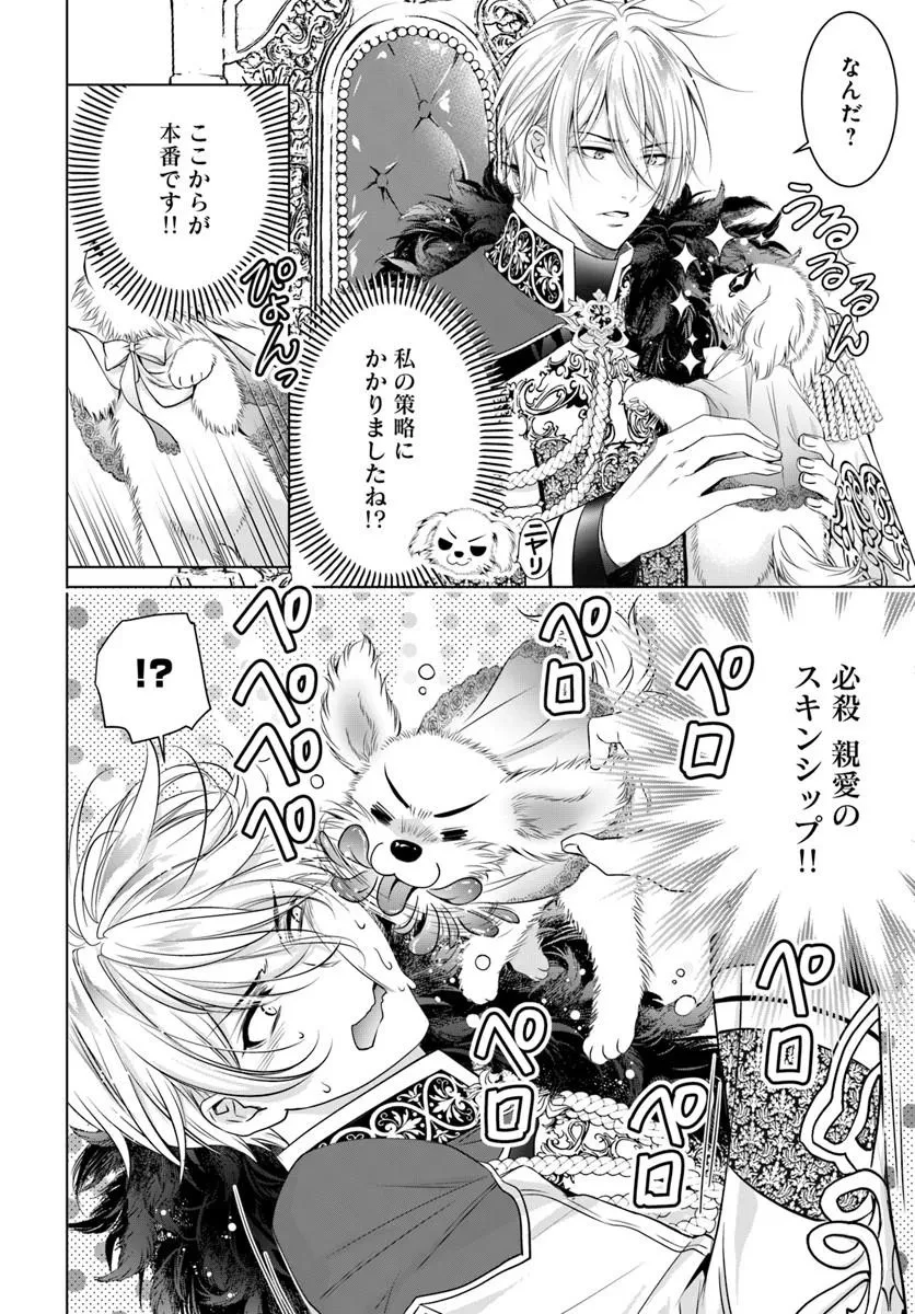 国王陛下、私を飼ってください! ～妹の身代わりで貢ぎ物にされましたが、愛され犬を目指します～ 第7話 - 16