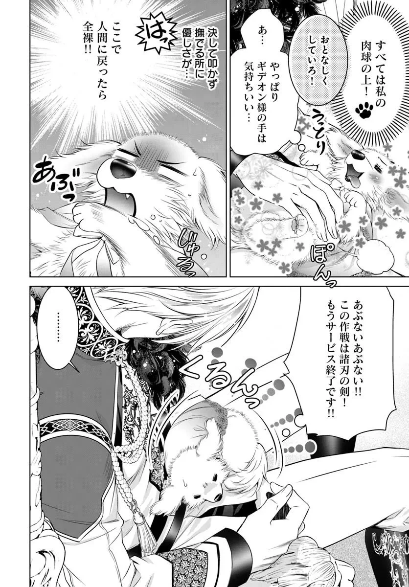 国王陛下、私を飼ってください! ～妹の身代わりで貢ぎ物にされましたが、愛され犬を目指します～ 第7話 - 18