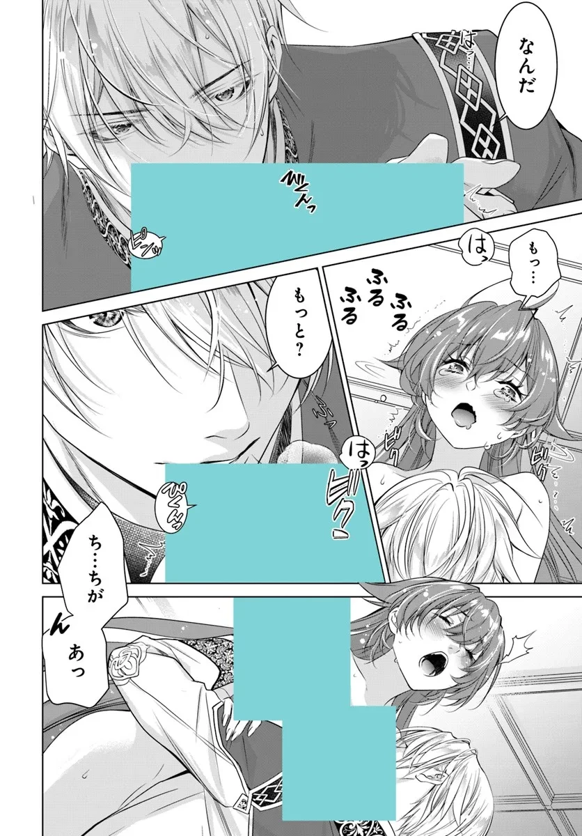 国王陛下、私を飼ってください! ～妹の身代わりで貢ぎ物にされましたが、愛され犬を目指します～ 第6話 - 12